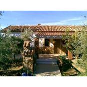 3 bedrooms villa with private pool and furnished terrace at Pozo Alcon