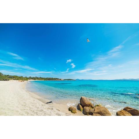 Affittimoderni Ville degli Oleandri - AROL02