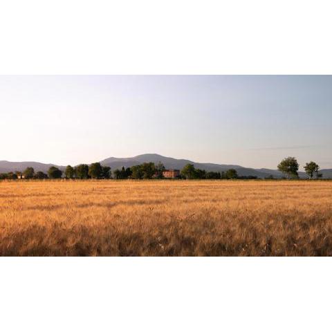 Agriturismo Il Pescinone