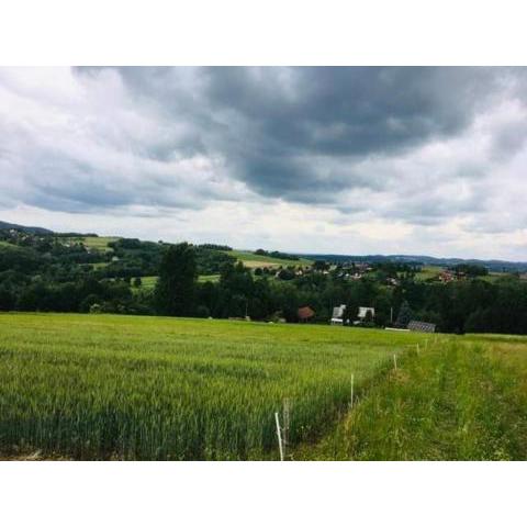 Agroturystyka Zielona dolinka