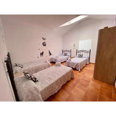 Alojamiento Los Tejos - Arroyo Frío