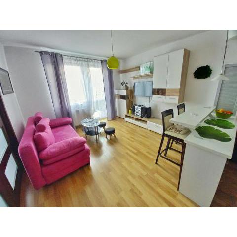Apartament Krokus