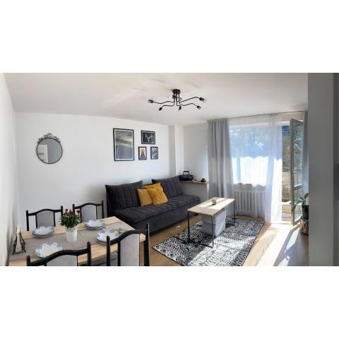 Apartament Mineralny