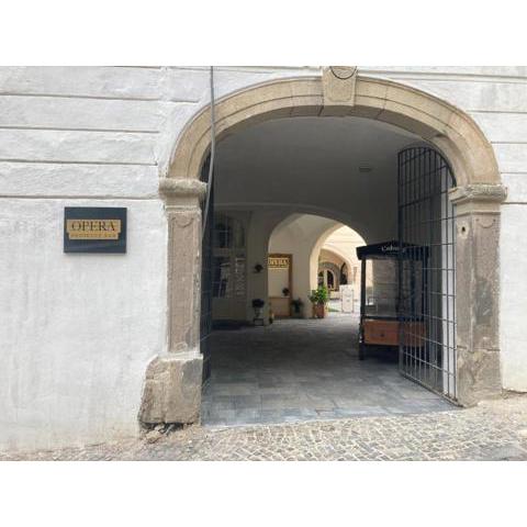 Apartman pod Starym zámkom