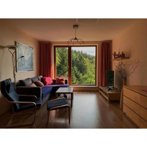 Apartmán Švadlenka