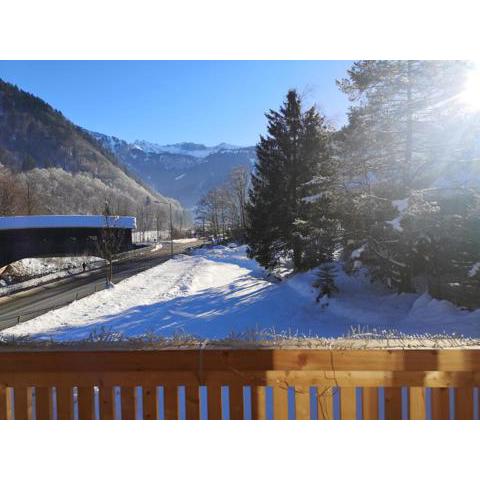 Apartment Almwiesen Mellau