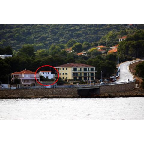 Apartments by the sea Rogac, Solta - 16223