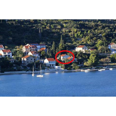 Apartments by the sea Slano, Dubrovnik - 8599