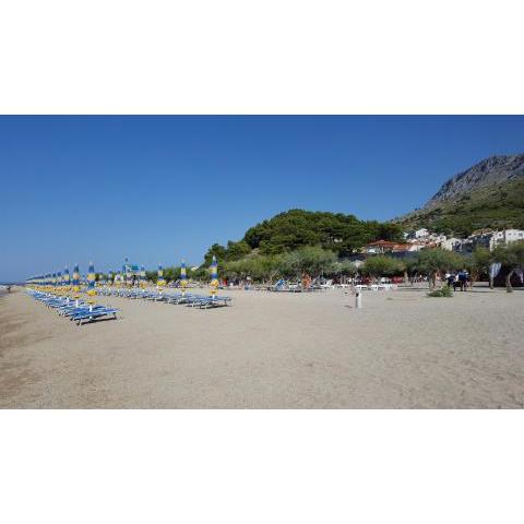 Apartments Galic Omis