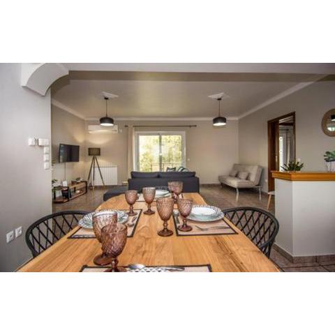 Aristotelis Apartment Lakithra-Alexandra