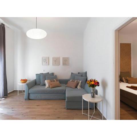 Beautiful Athenian apartment with terrace