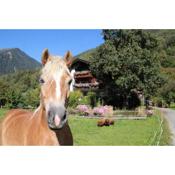 Bio-Bauernhof Auernig