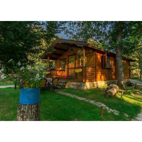 Cabañas de Madera Sanabria