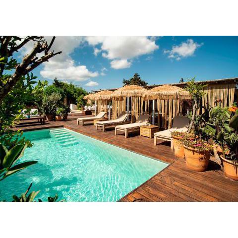 Can Aisha - Adults Only