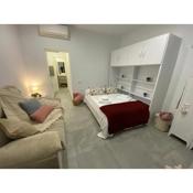 Cañete Medica Fleming