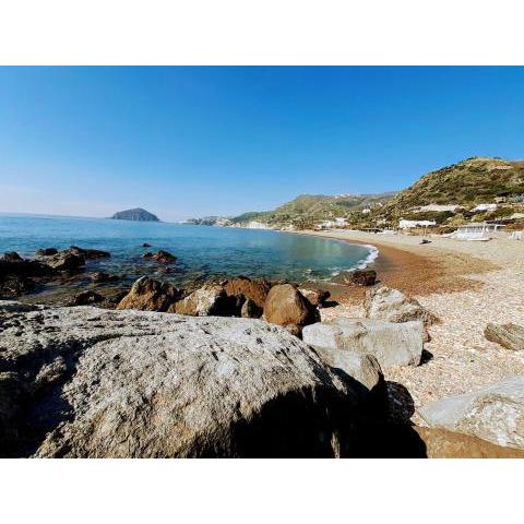 Casetta Iacono appartamento Aenaria