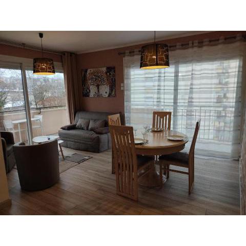 Charmant appartement au bord du Thiou - Annecy