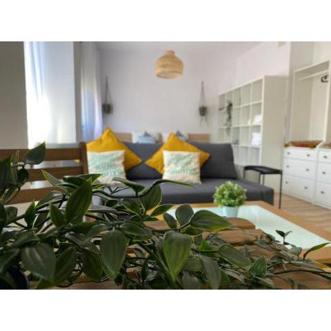 Estudio en PLENO CENTRO