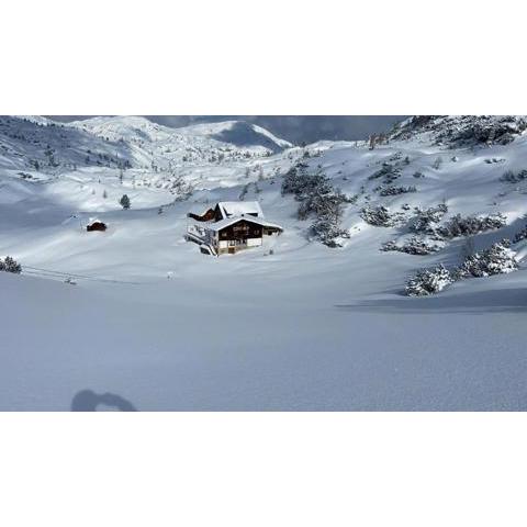 Gjaid-Alm 1738m am Dachstein-Krippenstein