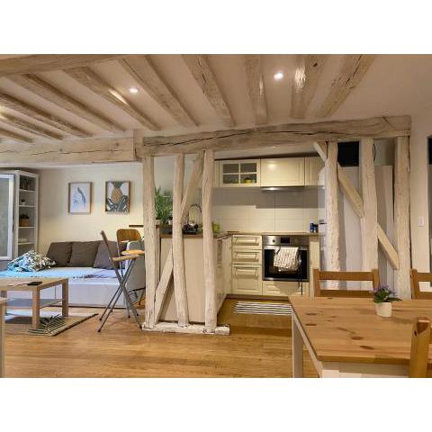 Le Ptit Cosy Versaillais 42sqm apartment -