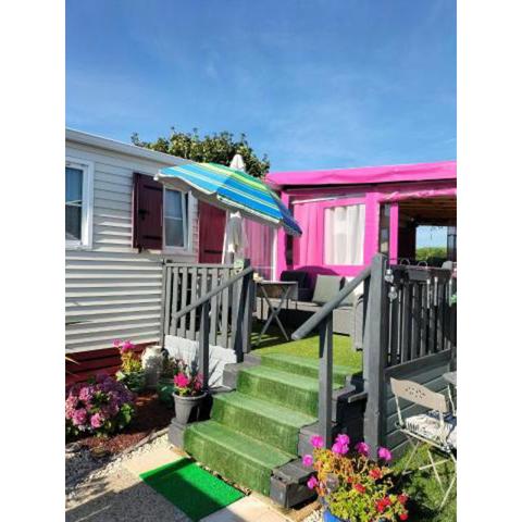 Les Mouettes de Pordic