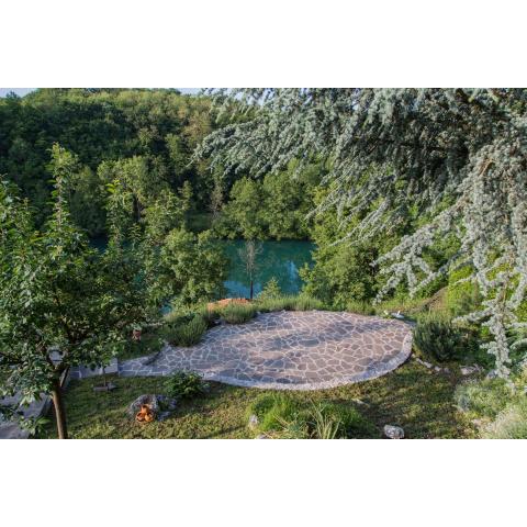 Magical oasis on the river