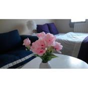 Maisonnette avec terrasse privée