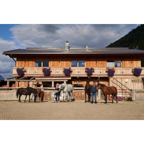 Margit's Ranch Urlaub am Pferdehof