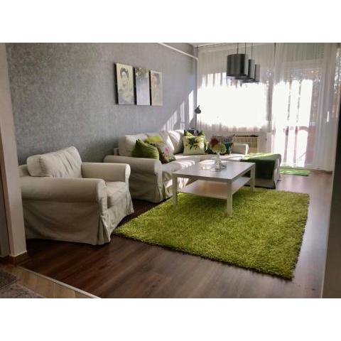 Nagyerdei Rózsahegy 1 Apartman Greatforest Rosehill 1 Apartment