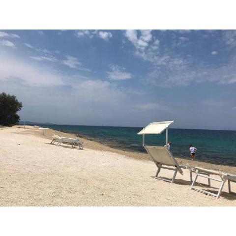 Nikola Luxury Apartments Senia