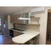 Oasi del patricano, Patrica