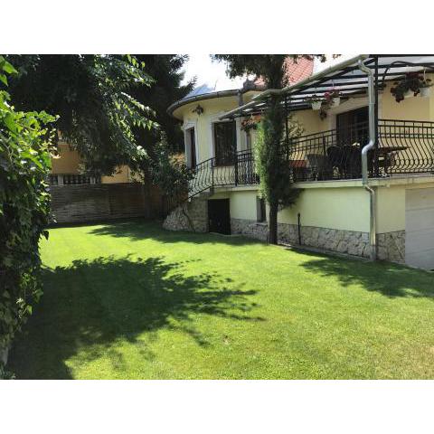 Palma Villa in City Park Budapest - semi suteren