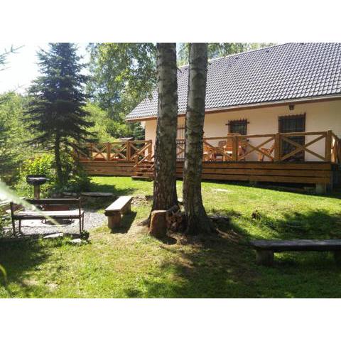 Polosamota pod Kašperkem Příčná