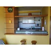 Primera Línea De Playa Avenida De Samil 55