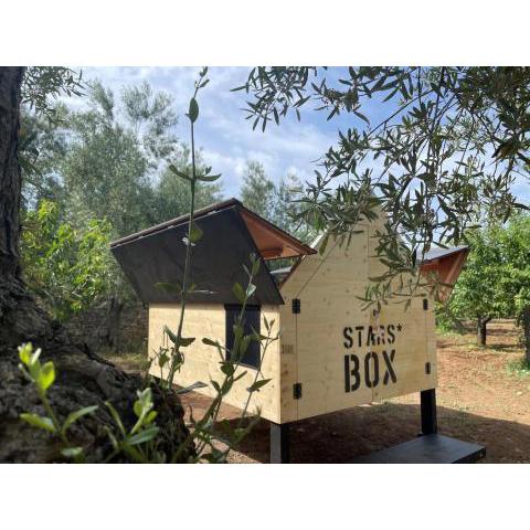 #StarsBoxtragliulivi