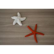 Stella Maris - Casa Vacanza