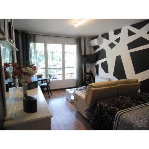 Studio Amélie-les-Bains-Palalda, 1 pièce, 4 personnes - FR-1-703-59