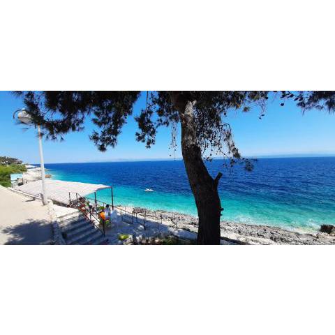 Summer House Bougainvillea by Dubrovnik Colors