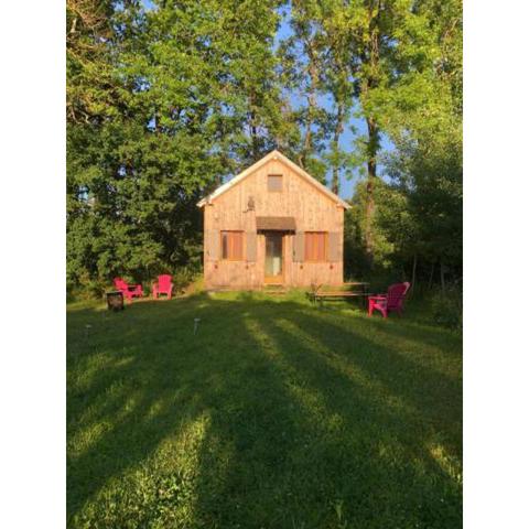 Tiny-House sous les arbres et les oiseaux