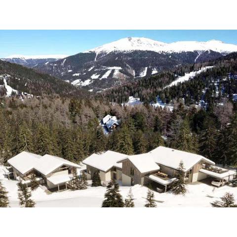 Turrach Mountain Chalet Alpinchique 3