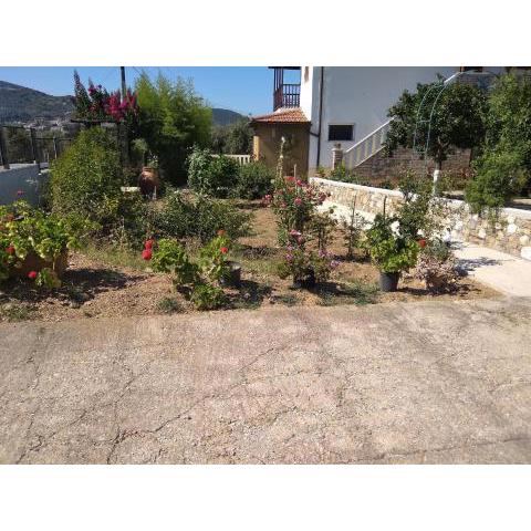 Villa Nova - Aegean views & organic garden