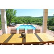 Villa Tijara villa near Trilj, private pool