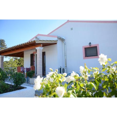 Villa Vicky Corfu